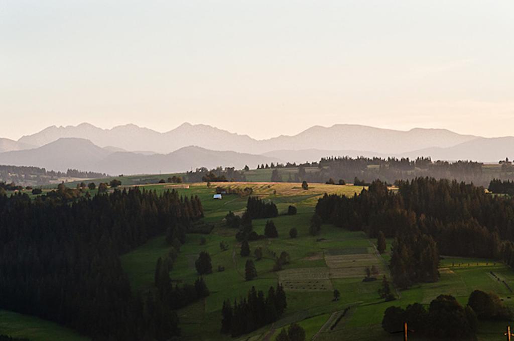 Miętowa Górka Zab Quarto foto